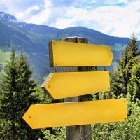 SB_SO_feedback SB_SO_feedback